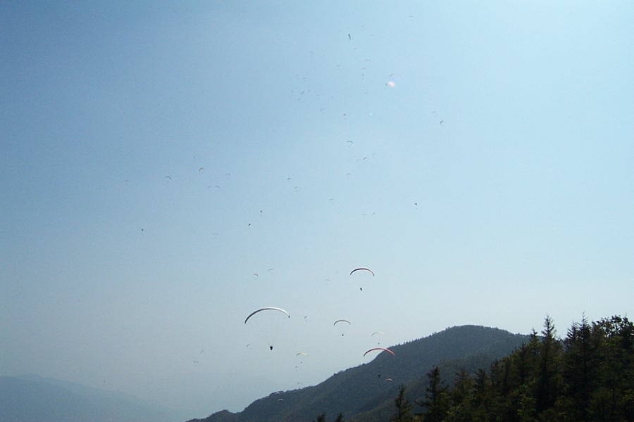 DCP_4775.JPG