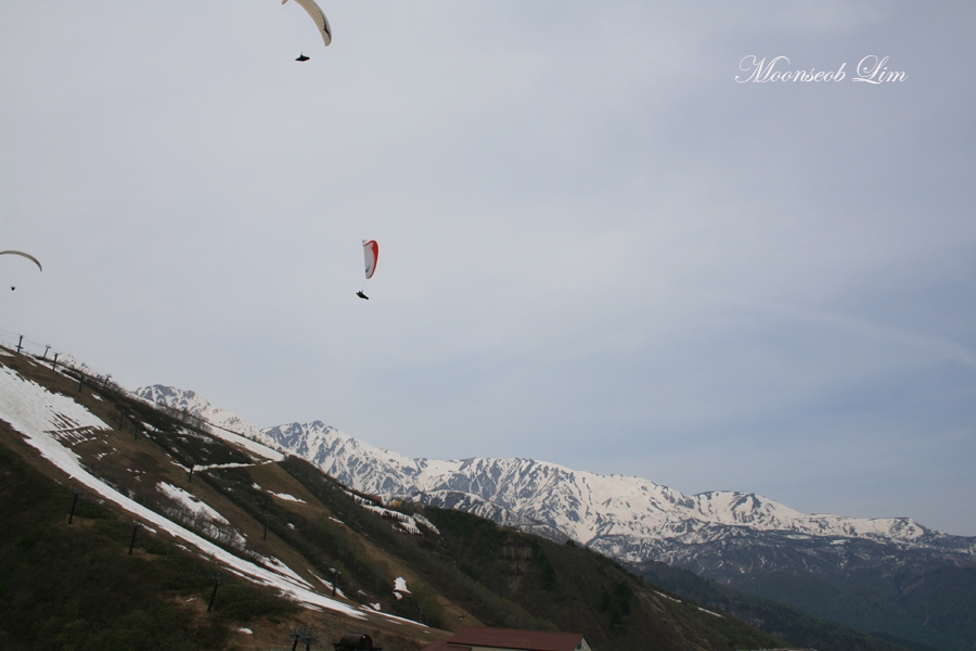 1IMG_1607.jpg