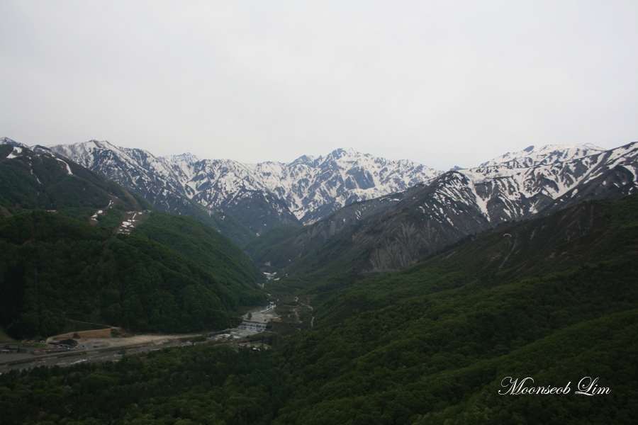 1IMG_1621.jpg