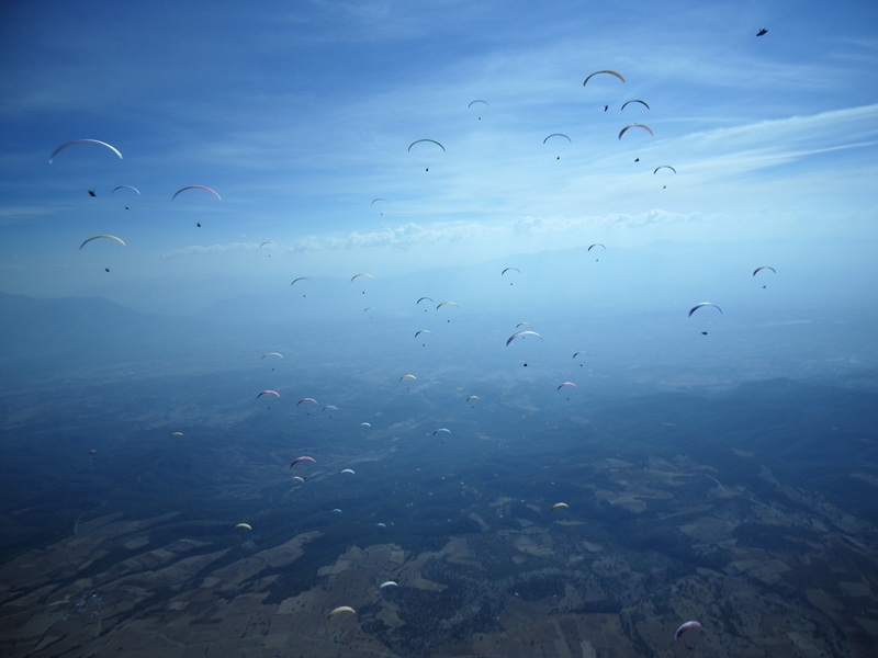 SDC12115.jpg