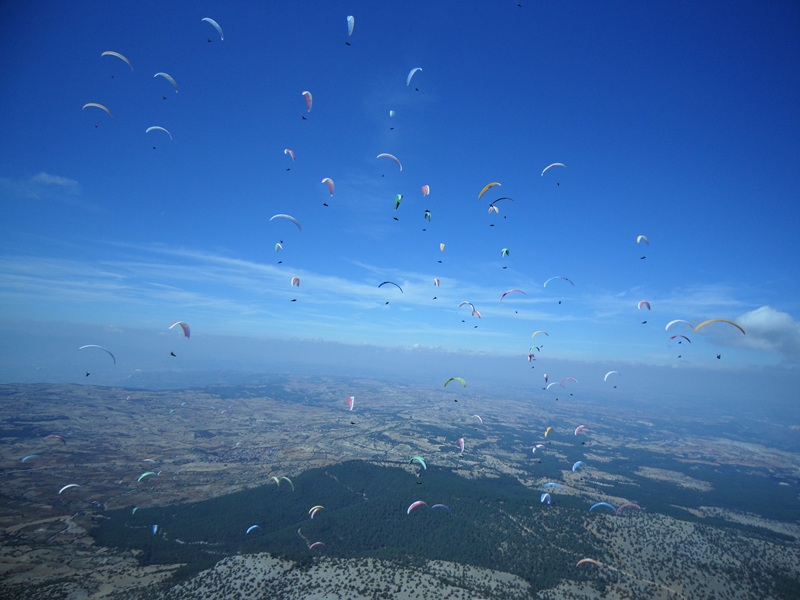SDC12145.jpg