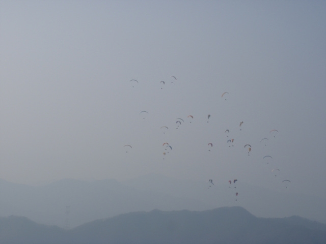 PB200096.jpg