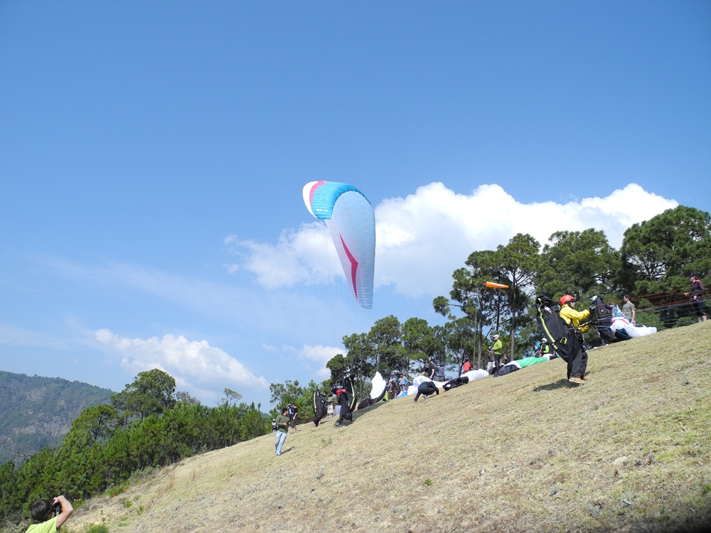 DSCN2951.jpg