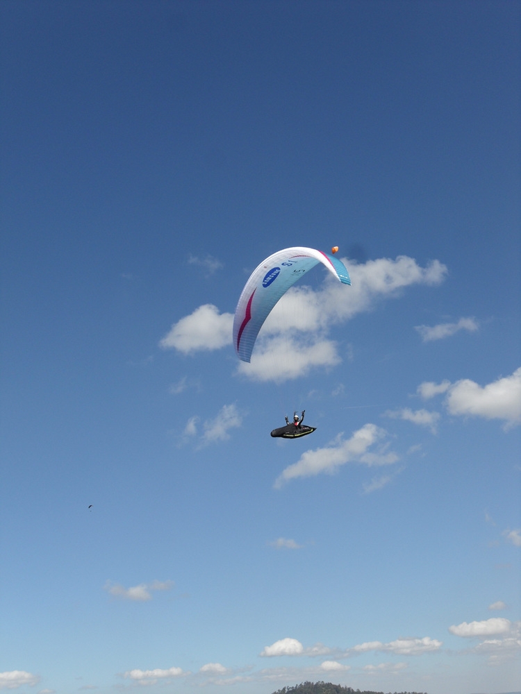 SDC10877.jpg