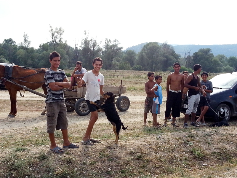 K20130720_172653.jpg