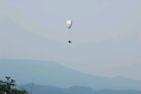 오메가6.bmp