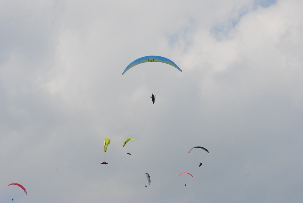 DSC_0350.JPG