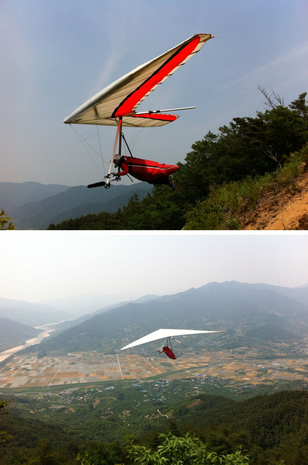s2031.jpg