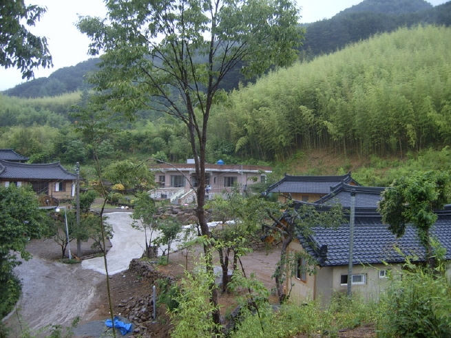 SUC50064.JPG