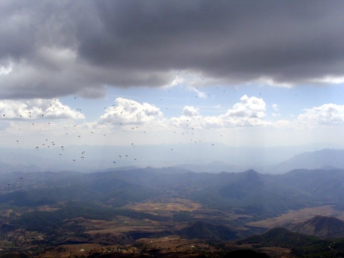 mx10 019.jpg