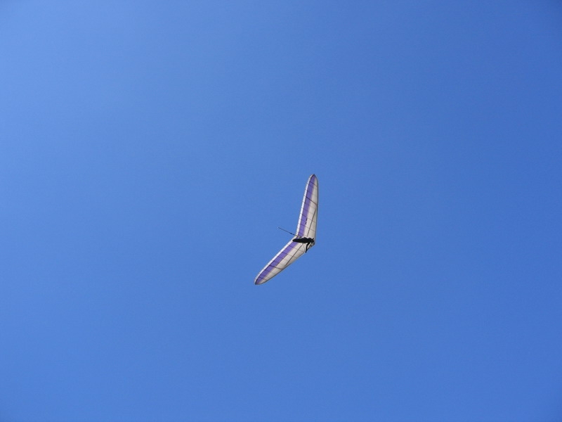 IMG_1990_resize.JPG