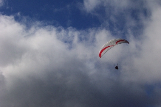 Dcp_3948.jpg