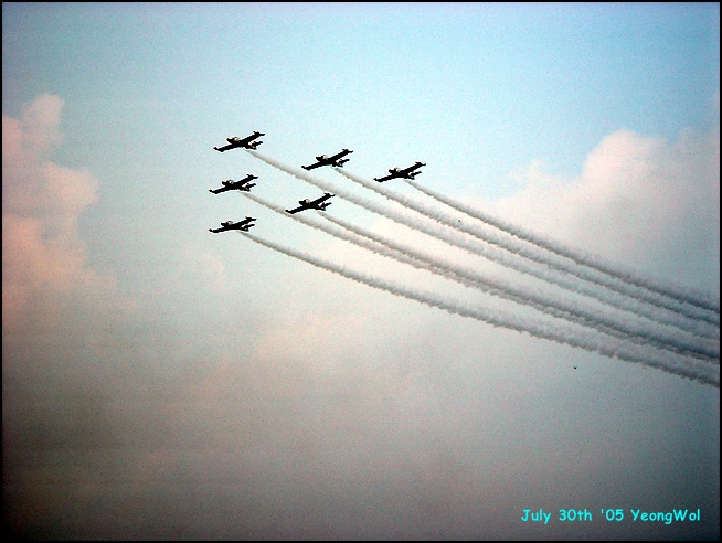 DSC01109.jpg
