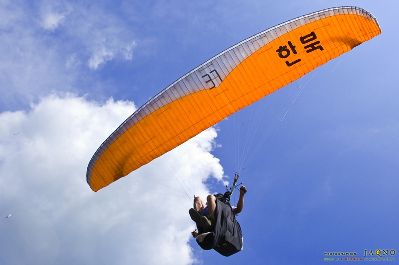 _UNG8441.jpg
