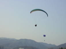 리베로