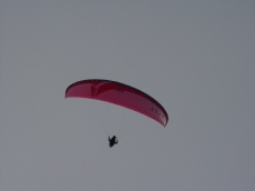 AVAX  XC-2